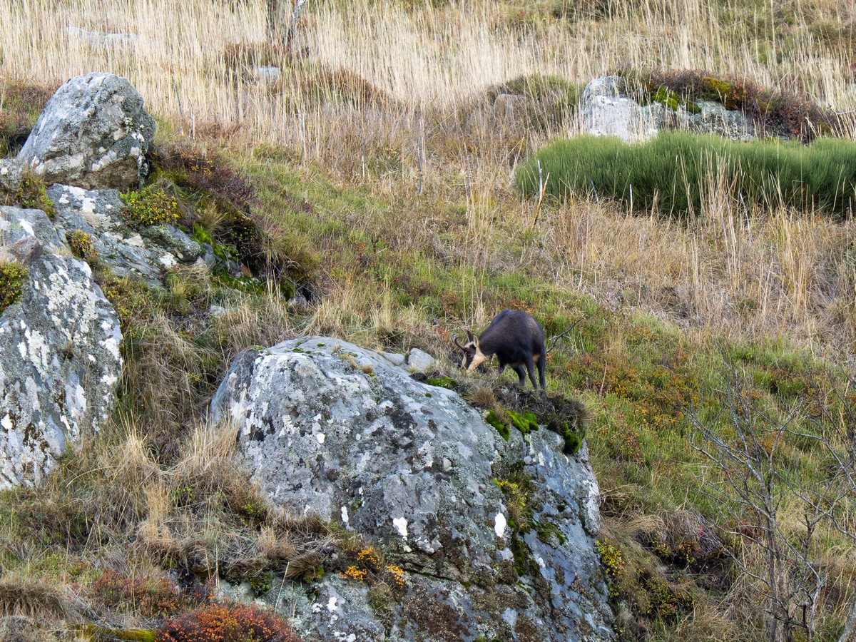 30102025-30 10 25 (6).jpg